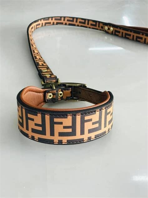 collier pour chien fendi|Fendi makes your dog look better than you with its luxury.